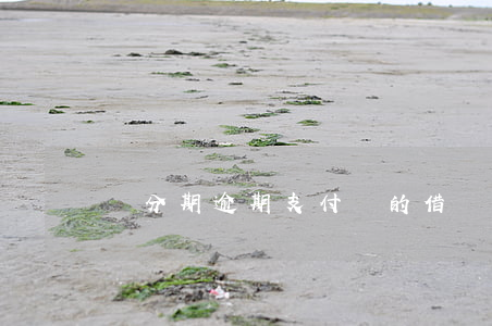 來分期逾期支付寶的借唄