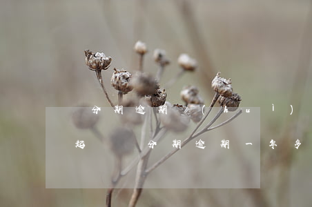 來分期逾期會(huì)不會(huì)被起訴（來分期逾期一年多會(huì)起訴嗎）
