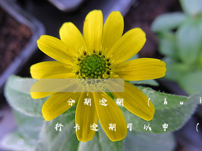 來分期逾期會(huì)影響辦信用卡嗎(銀行卡逾期可以申請(qǐng)分期嗎)