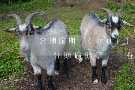 來分期逾期會(huì)從支付寶里面扣錢嗎（來分期逾期了賬單在支付寶嗎）