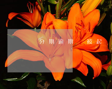 來分期逾期會被起訴么(來分期逾期被告了)