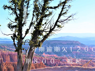 來分期逾期欠1200會被起訴嗎(來分期逾期800會被起訴嗎?)
