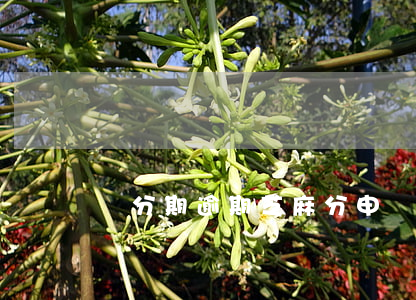 來分期逾期芝麻分申訴（來分期逾期芝麻分申訴）