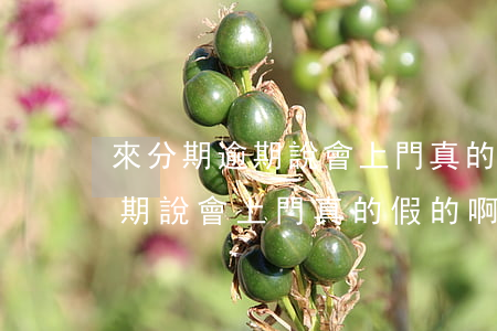 來分期逾期說會上門真的假的啊-來分期逾期說會上門真的假的啊是真的嗎