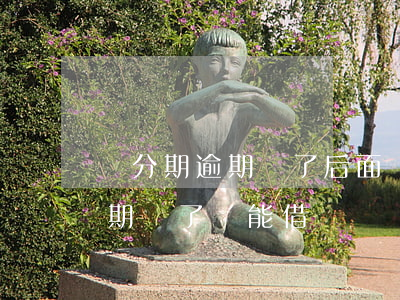 來分期逾期還了后面還可以借嗎-來分期逾期還了還能借嗎