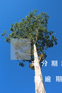 來分期逾期還可以恢復額度嗎，如何解決來分期逾期問題并恢復額度？