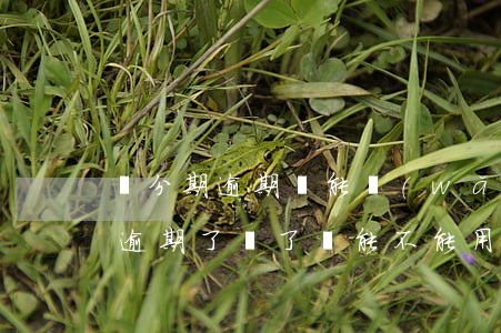 來分期逾期還能網(wǎng)貸嗎(來分期逾期了還了還能不能用)