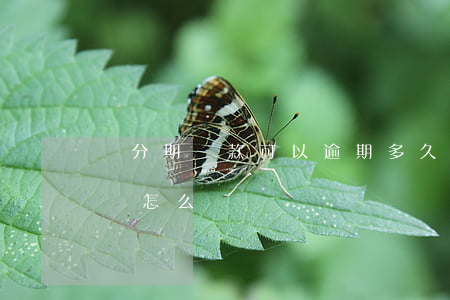 來分期還款可以逾期多久(來分期逾期幾個小時怎么辦)