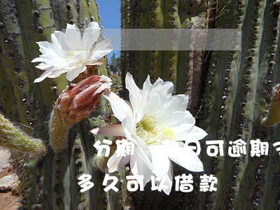 來分期還款日可逾期3天(來分期逾期后還款,多久可以借款)