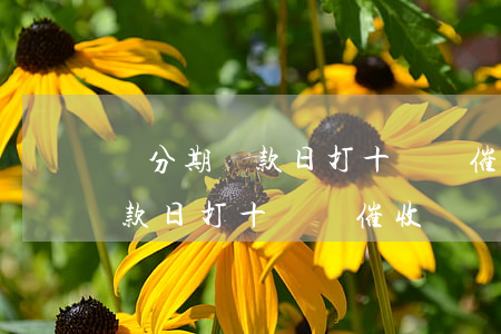 來分期還款日打十幾個催收電話-來分期還款日打十幾個催收電話是真的嗎