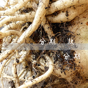 來分期還款時間截止到當(dāng)天幾點-來分期當(dāng)天還款時間最晚是幾點?