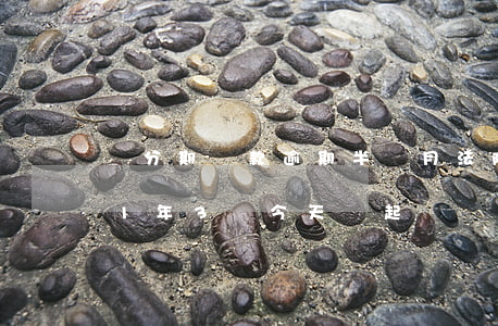 來分期還款逾期半個月法院起訴(來分期逾期1年3萬今天說起訴)