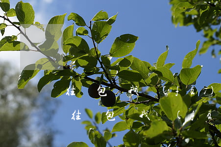 來往錢包給我發(fā)短信說我逾期了-來往錢包給我發(fā)短信說我逾期了是真的嗎