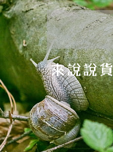 來說說貨拉拉司機認罪認罰