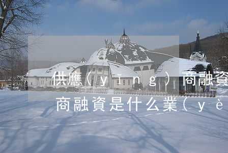 供應(yīng)商融資(供應(yīng)商融資是什么業(yè)務(wù))