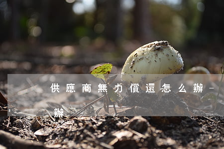 供應商無力償還怎么辦-供應商不給錢怎么辦
