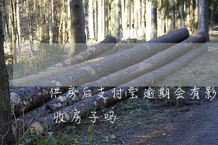 供房后支付宝逾期会有影响吗 支付宝逾期会收房子吗