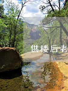 供楼后老公有网贷逾期(供房逾期了会怎么样)