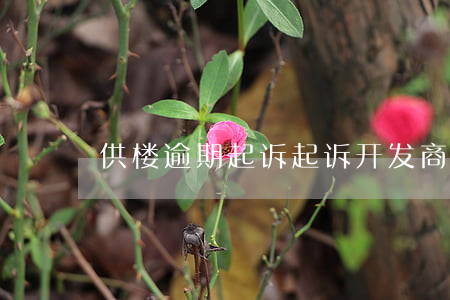 供楼逾期起诉 起诉开发商逾期交房诉状