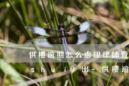 供樓逾期怎么處理律師費(fèi)用誰(shuí)出-供樓逾期了會(huì)怎么樣