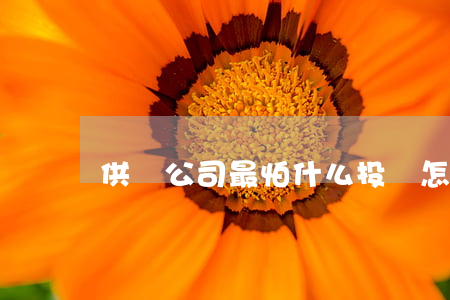 供熱公司最怕什么投訴(怎么樣投訴供熱公司)
