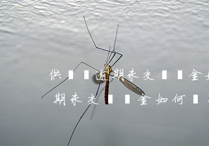 供熱費逾期未交滯納金如何計算-供熱費逾期未交滯納金如何計算的