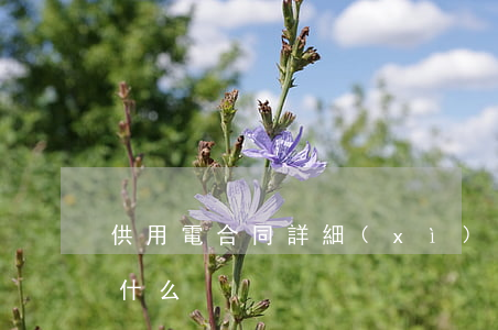 供用電合同詳細(xì)內(nèi)容是什么