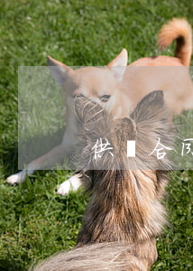 供貨合同模板