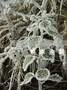 供車逾期會怎樣處理（信用卡逾期能否供車）