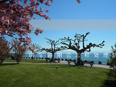供车逾期会怎样处理（信用卡逾期怎么供车）