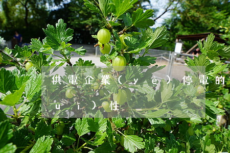 供電企業(yè)停電的法律合法合規(guī)性
