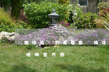 依法治國的重要意義(依法治國的重要意義包括哪些方面)