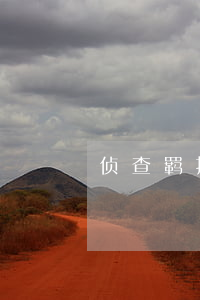 侦查羁押期限(重新计算侦查羁押期限)