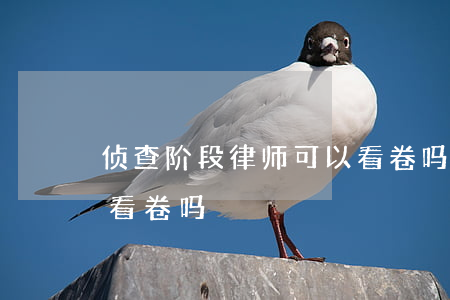 侦查阶段律师可以看卷吗(侦查阶段律师可以看卷吗)