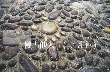 侵占他人財(cái)產(chǎn)罪