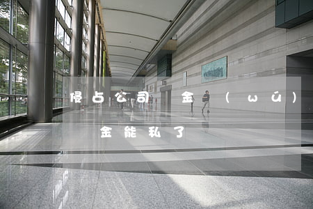 侵占公司資金無(wú)力償還-侵占公司資金能私了嗎