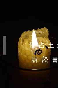 侵占土地起訴費(fèi)多少錢(土地侵占訴訟書怎么寫)