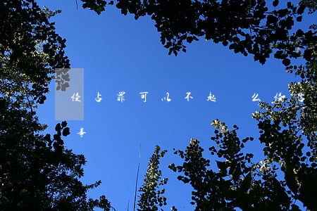 侵占罪可以不起訴么(侵占罪可以提起附帶民事訴訟嗎)