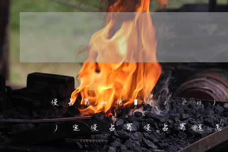 侵占罪如何認(rèn)定 怎么認(rèn)定侵占罪（侵占罪是怎樣認(rèn)定的）