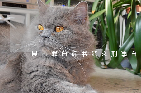 侵占罪自诉书范文(刑事自诉书侵占罪范文)