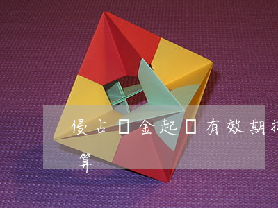 侵占資金起訴有效期(挪用資金罪訴訟時效起算)