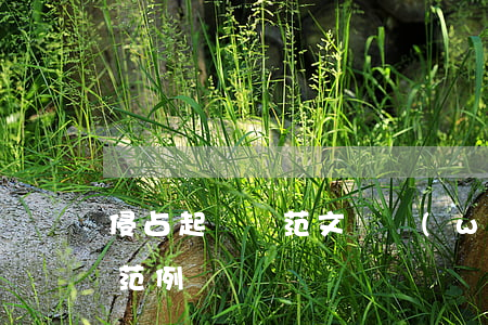 侵占起訴書范文(職務(wù)侵占罪起訴書范例)