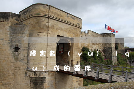 侵害名譽(yù)權(quán)構(gòu)成的要件