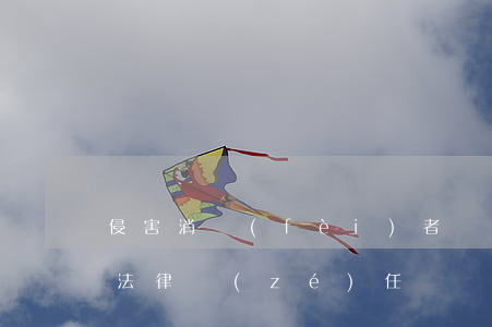 侵害消費(fèi)者權(quán)益的法律責(zé)任
