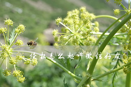 侵权怎么起诉微信好友-微信 侵权