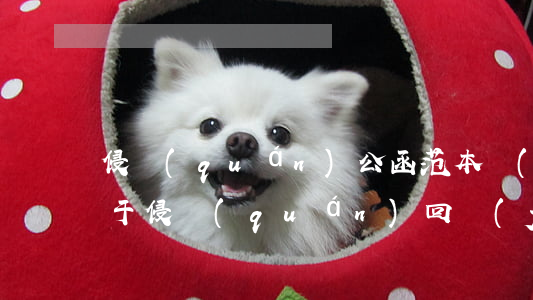 侵權(quán)公函范本(關(guān)于侵權(quán)回復(fù)函)