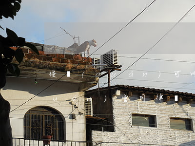 侵權(quán)可以找律師嗎(打侵權(quán)官司律師)