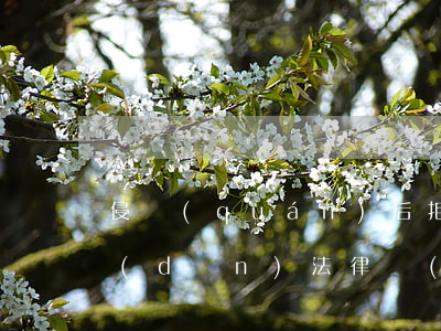 侵權(quán)后拒絕索賠是否需要承擔(dān)法律責(zé)任