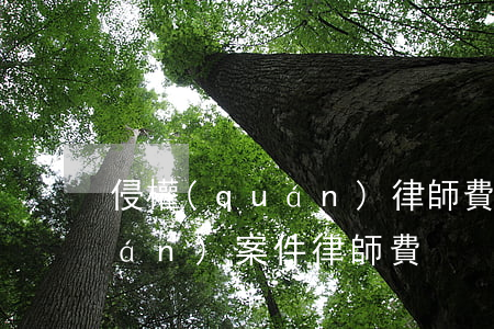 侵權(quán)律師費誰承擔(侵權(quán)案件律師費)