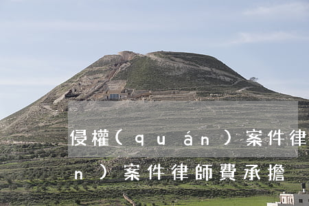 侵權(quán)案件律師費(侵權(quán)案件律師費承擔)